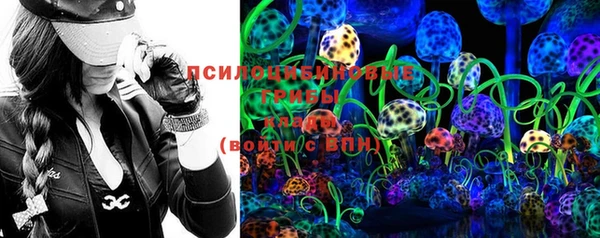 ешки Алексеевка