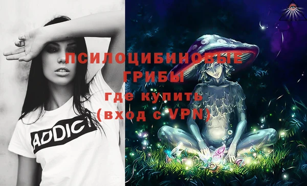 ешки Алексеевка