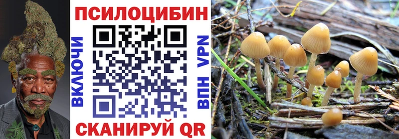 Псилоцибиновые грибы прущие грибы Южно-Сухокумск